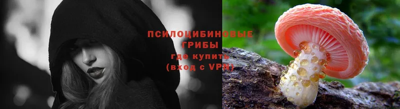 blacksprut как войти  Вилюйск  Галлюциногенные грибы Cubensis 